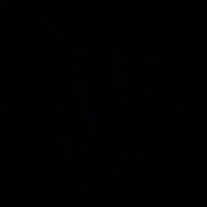 Meet your Posher, Mya